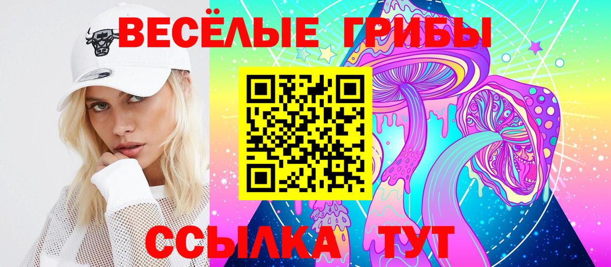 Псилоцибиновые грибы GOLDEN TEACHER Ртищево