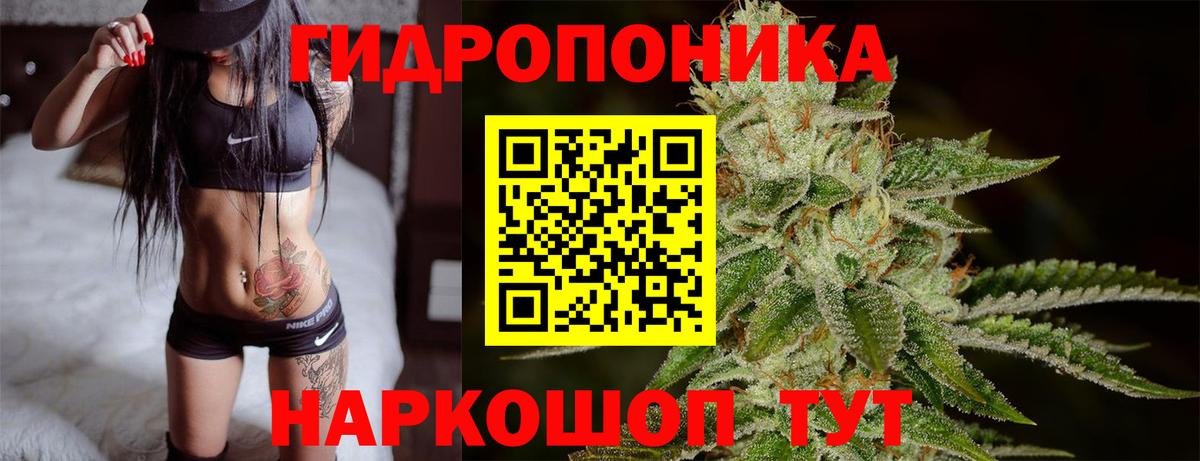 Шишки марихуана тримм  Бошки марихуана White Widow  Вход с VPN  Ртищево 